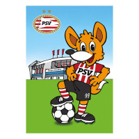 PSV Poster Phoxy Stadion