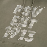 PSV Hooded Sweater EST 1913 lichtgroen