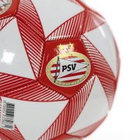 PSV Skillbal Logo's Driehoeken