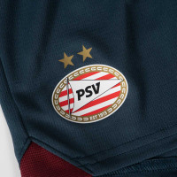 PSV Uit Minikit 2023-2024