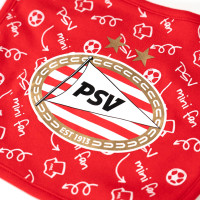 PSV Slabber Mini Fan