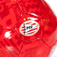 PSV Skillbal Blokken Rood