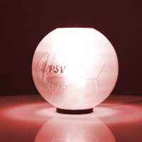 PSV Philips MyCreation 3D-Geprinte Lamp